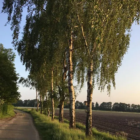 B&B Op 't Eikenschoor-3